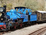 Darjeeling 19B