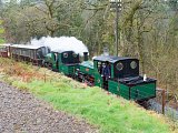 Down train in the woods