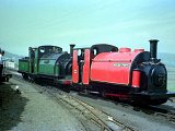 Welsh Pony Shunt
