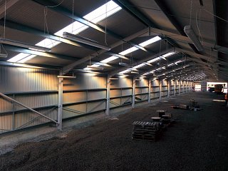 Some interesting lighting is generated naturally