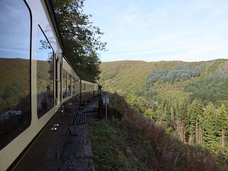 Down the Valley - The view into the Rheidol valley as Palmerston coasts back down to Aberystwyth