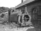 Palmerston, 1952