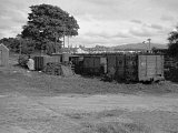Harbour Wagons, 1953