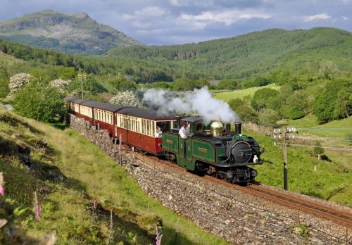 Earl of Merioneth in the Summer's evening