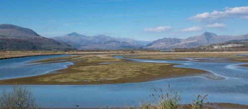 Looking from the Cob