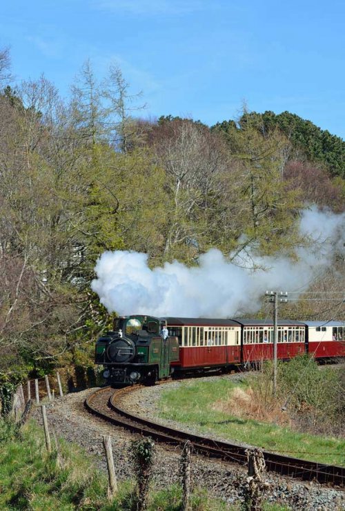 Earl of Merioneth in glorious sunshine