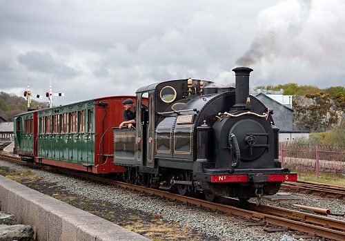 202504 WelshPonyPort 202504 WelshPonyPort