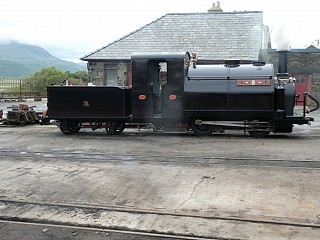 Welsh Pony Steamed Saturday 27 June