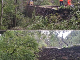 October Lineside Management Working Party