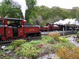 Tan y Bwlch garden