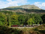Merddin Emrys Whistling Curve