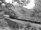 Palmerston on the freight