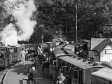 Trains pass at Tan y Bwlch