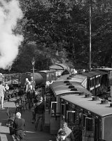 Trains pass at Tan y Bwlch