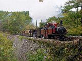 Mixed train up close