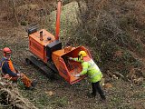 Lineside clearance