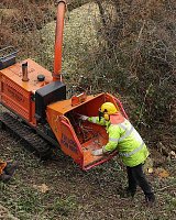 Lineside clearance