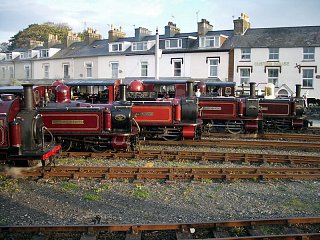 Traditional Fairlie lineup