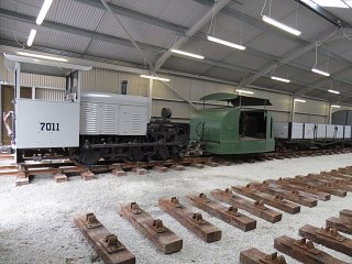 Moelwyn and Mary Ann looking at home in the new shed