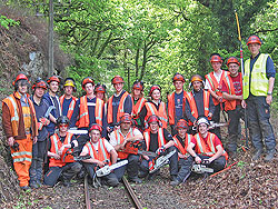 Volunteer tree fellers in the woods