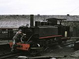 Newly arrived, March 1967