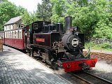 Tan y Bwlch, May 2005
