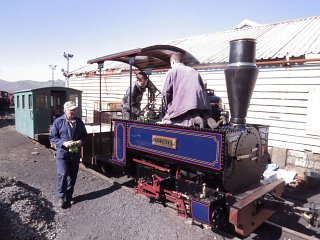 More Quirks Arrivals