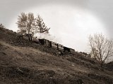 The 1865 train